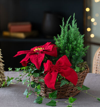 Julegruppe i kurv med rød julestjerne Julegruppe i kurv med rød julestjerne